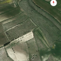 Boschetto - Vigna - Frutteto 3 ETTARI