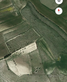 Boschetto - Vigna - Frutteto 3 ETTARI