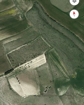 Boschetto - Vigna - Frutteto 3 ETTARI