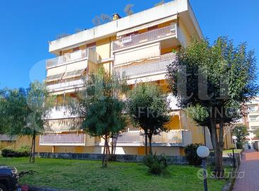 Ufficio Carrara [Cod. rif 3296557VCU]