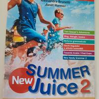 Summer juice 2 