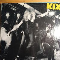 Vinili,Copertine di vinili,Inner sleeve di vinili.