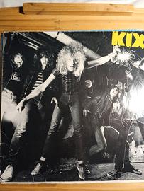 Vinili,Copertine di vinili,Inner sleeve di vinili.