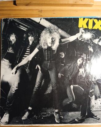 Vinili,Copertine di vinili,Inner sleeve di vinili.