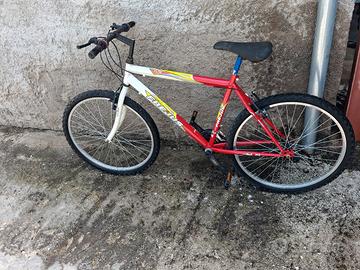 bicicletta 