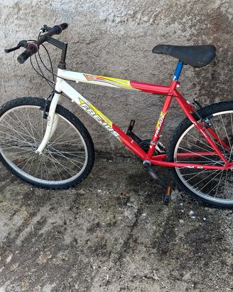 bicicletta 