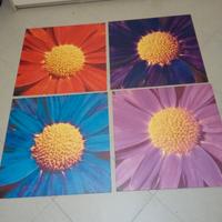 Set 4 quadri 