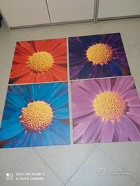Set 4 quadri 