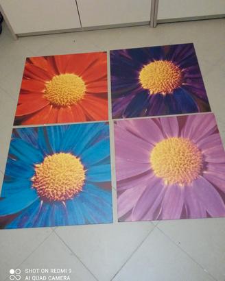 Set 4 quadri 