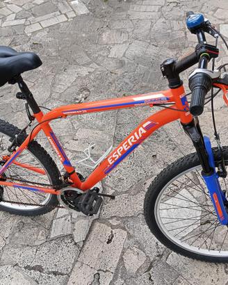 Bici 27.5