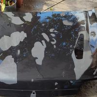 Cofano Ford Fiesta rs turbo