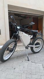 Bici Elettrica Fat Bike