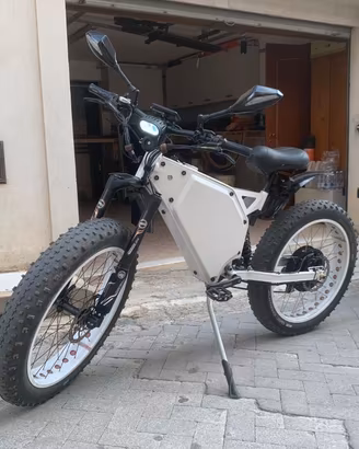 Bici Elettrica Fat Bike