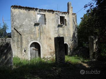 Rudere (1/2) ed uliveto contrada Passarella/Biccar