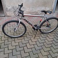 Bicicletta ruota 26"
