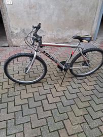 Bicicletta ruota 26"