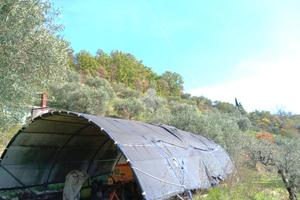 TER. RESIDENZIALE A GUBBIO