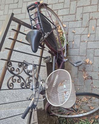 Bicicletta