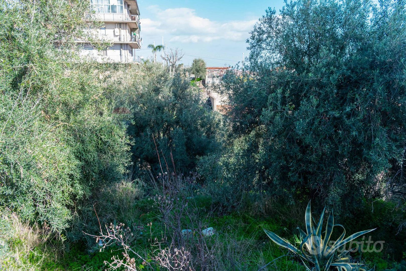 Terreno Edificabile - Misterbianco - Vista 5