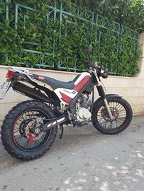 rieju tango 125 scrambler
