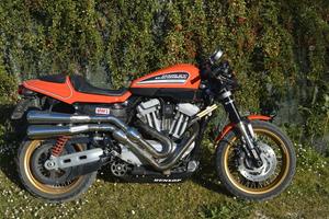 Harley Davidson XR 1200 XR1200