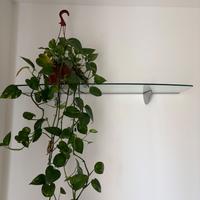 Mensola in vetro con agganci