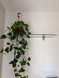 Mensola in vetro con agganci