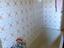 Immagine 14