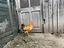 Immagine 2
