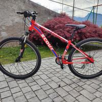 Bici mtb