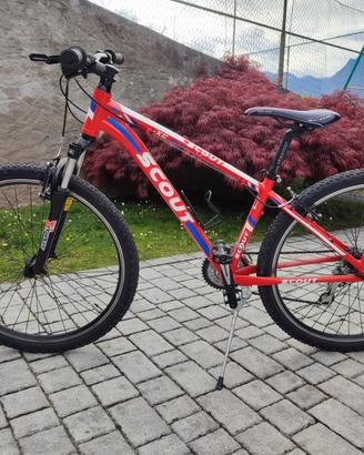 Bici mtb