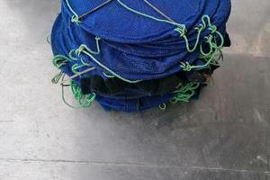 Lanterne semina vongole e ostriche