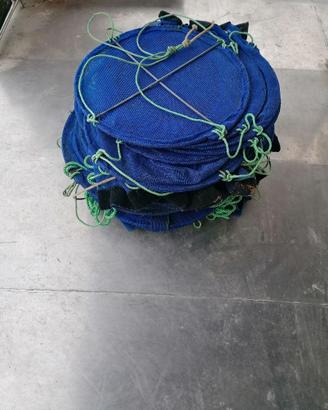 Lanterne semina vongole e ostriche