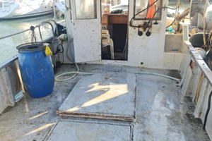 Barca con licenza in vetroresina