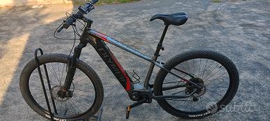 e-bike 