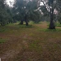 Lavori agricoli conto terzi
