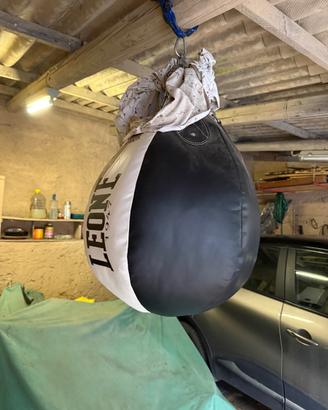 Sacco boxe leone