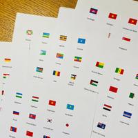 Set di 273 bandiere in cartoncino