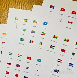 Set di 273 bandiere in cartoncino