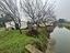 Immagine 29