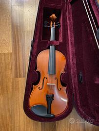 Violino