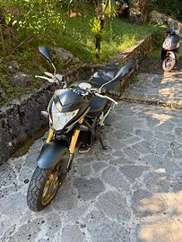 Hornet 600 Anno 2012 Quasi Nuovaaa !!!