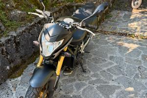 Hornet 600 Anno 2012 Quasi Nuovaaa !!!