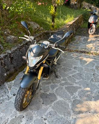 Hornet 600 Anno 2012 Quasi Nuovaaa !!!