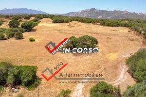 Terreno Edificabile Telti Località Sa Minda