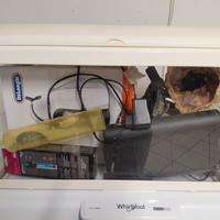 Acquario Atlantis 60l