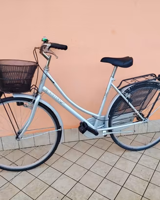 Bicicletta da 26 Holland con cesto meccanica perfe