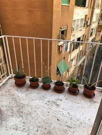 Camera a Testaccio centro dí Roma