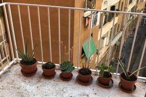 Camera a Testaccio centro dí Roma