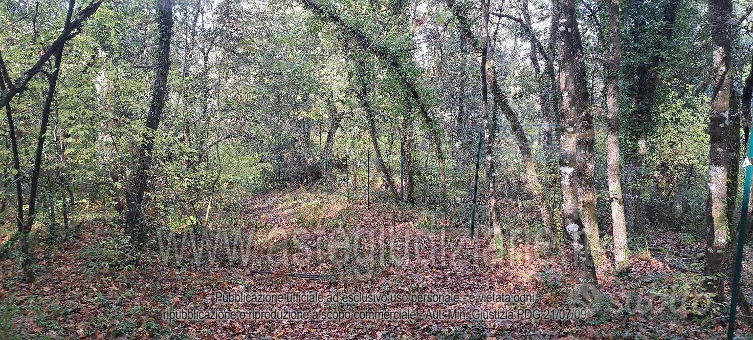 Terreno Agricolo Rapolano Terme [A4356525] - Altro